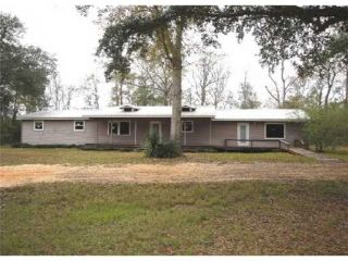 Foreclosed Home - 19600 ROBALO WAY, 39562