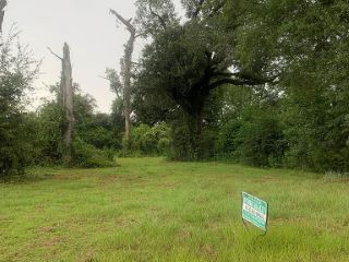 Foreclosed Home - 7772 ROY HODGES RD, 39845