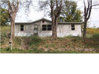 Foreclosed Home - 2480 MAYES CREEK RD, 40069