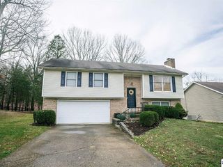 Foreclosed Home - 127 LOBLOLLY LN, 40108
