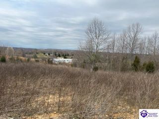 Foreclosed Home - List 100746031