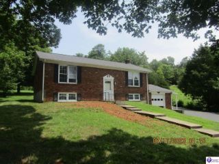Foreclosed Home - 170 AMMONS LN, 40142