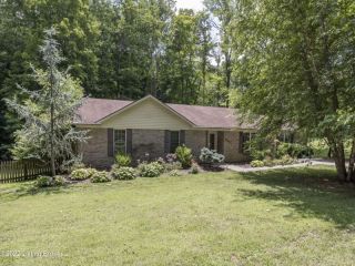 Foreclosed Home - 491 BIG SPRINGS DR, 40165