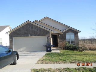 Foreclosed Home - 100 DUSK CT, 40324