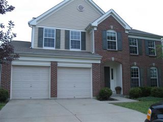 Foreclosed Home - 10078 BRANDSTEADE CT, 41091
