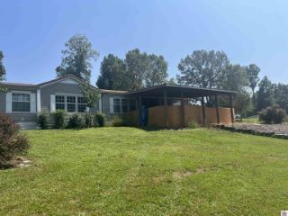 Foreclosed Home - 718 WOODS LN, 42045