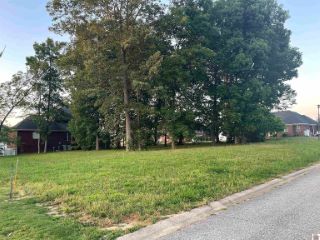 Foreclosed Home - 154 CHAD WAYNE DR, 42071