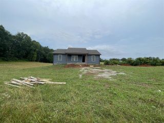 Foreclosed Home - 3857 GOTTS HYDRO RD, 42159