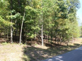 Foreclosed Home - 15 HAYNES KNOB RD, 42501