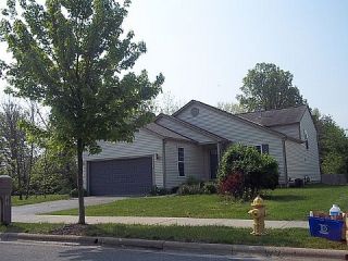 Foreclosed Home - 181 FIRESTONE DR, 43015