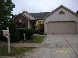 Foreclosed Home - 1245 FLAGSTONE SQ, 43081