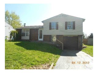Foreclosed Home - 6500 CHEROKEE ROSE DR, 43081