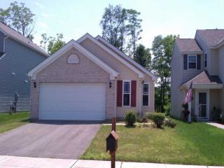 Foreclosed Home - 6865 RIDING TRAIL DR, 43110