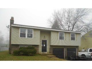 Foreclosed Home - 8648 RENAA AVE, 43119