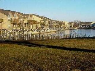 Foreclosed Home - 8846 W CANADA GOOSE CT, 43449