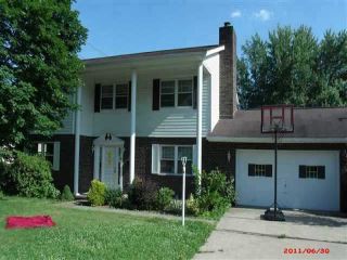 Foreclosed Home - 113 OVERLOOK CT, 43950