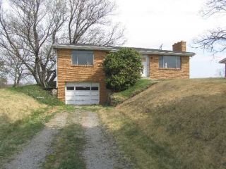 Foreclosed Home - 318 CANTON RD, 43953