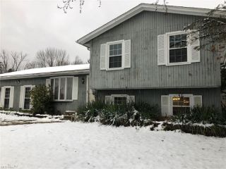Foreclosed Home - 19070 HASKINS RD, 44023