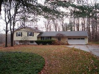 Foreclosed Home - 8735 RANCH DR, 44026