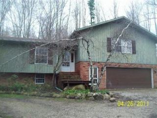 Foreclosed Home - 10642 BUTTERNUT RD, 44026