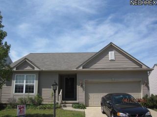 Foreclosed Home - 8824 BELTON DR, 44039