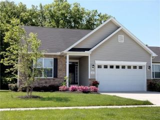 Foreclosed Home - 6440 AMBER WAY, 44039
