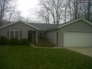 Foreclosed Home - 236 FOREST PARK DR, 44050