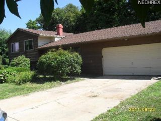 Foreclosed Home - 319 HYDER DR, 44057