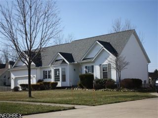 Foreclosed Home - 213 MICHELLE LN, 44057