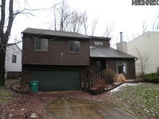 Foreclosed Home - 8358 FINDLEY DR, 44060