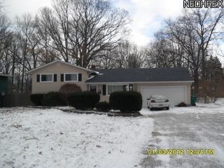 Foreclosed Home - 6187 REYNOLDS RD, 44060
