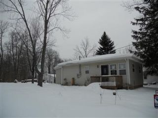 Foreclosed Home - 14616 CHESTNUT DR, 44065
