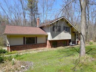 Foreclosed Home - List 100390329