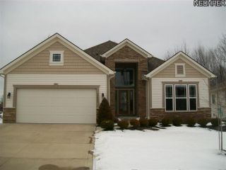 Foreclosed Home - 22000 OLDE CREEK TRL, 44149