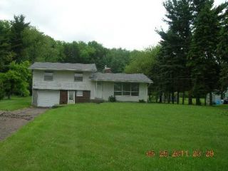 Foreclosed Home - 13329 HAMETOWN RD, 44230