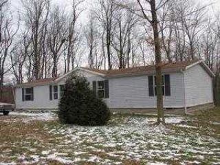 Foreclosed Home - 9920 STATE ROUTE 88, 44231