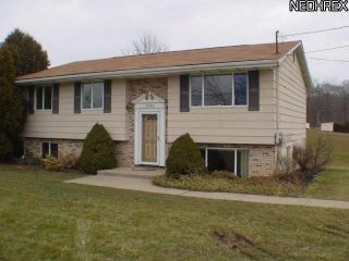Foreclosed Home - 10286 ELLIMAN RD, 44255