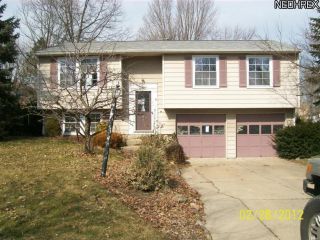 Foreclosed Home - 895 RIDGEVIEW DR, 44256