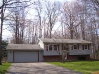 Foreclosed Home - 251 STAHL AVE, 44410