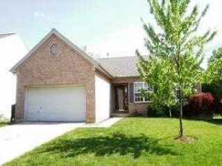 Foreclosed Home - 95 PADDOCK LN, 45050