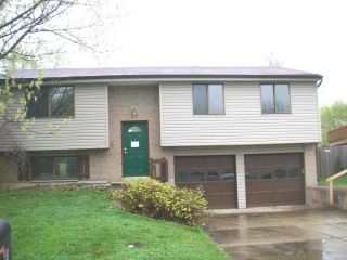 Foreclosed Home - 245 GREENWELL AVE, 45238