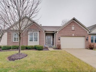 Foreclosed Home - 14243 ARCADIAN CIR, 46033