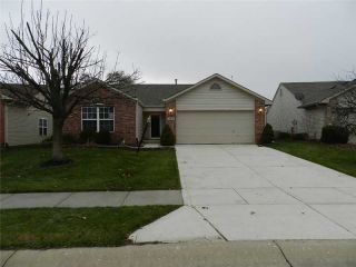 Foreclosed Home - 6073 WHITE BIRCH DR, 46038