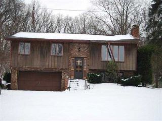 Foreclosed Home - 1994 W SPRINGVILLE RD, 46350