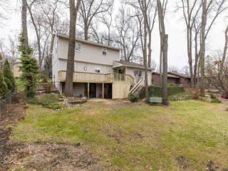 Foreclosed Home - 52131 CARRIAGE HILLS DR, 46635