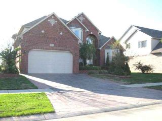 Foreclosed Home - 56125 BIRKDALE DR, 48042