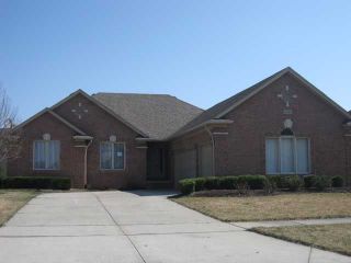 Foreclosed Home - 50130 JOSEPHINE DR, 48044