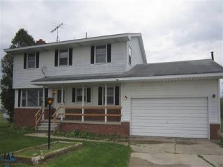 Foreclosed Home - 8720 RATTLE RUN RD, 48063