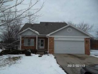 Foreclosed Home - 18951 RAINBOW CT # 8, 48076
