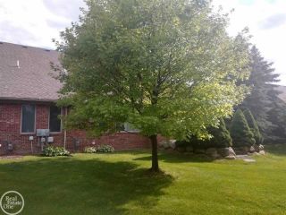 Foreclosed Home - List 100438748